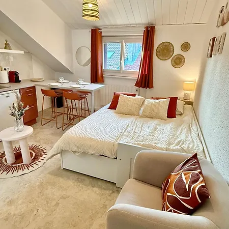 Confortable Studio Centre-Ville Thonon 아파트