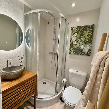 Duplex Centre-ville - Agafay 5 * Thonon-les-Bains